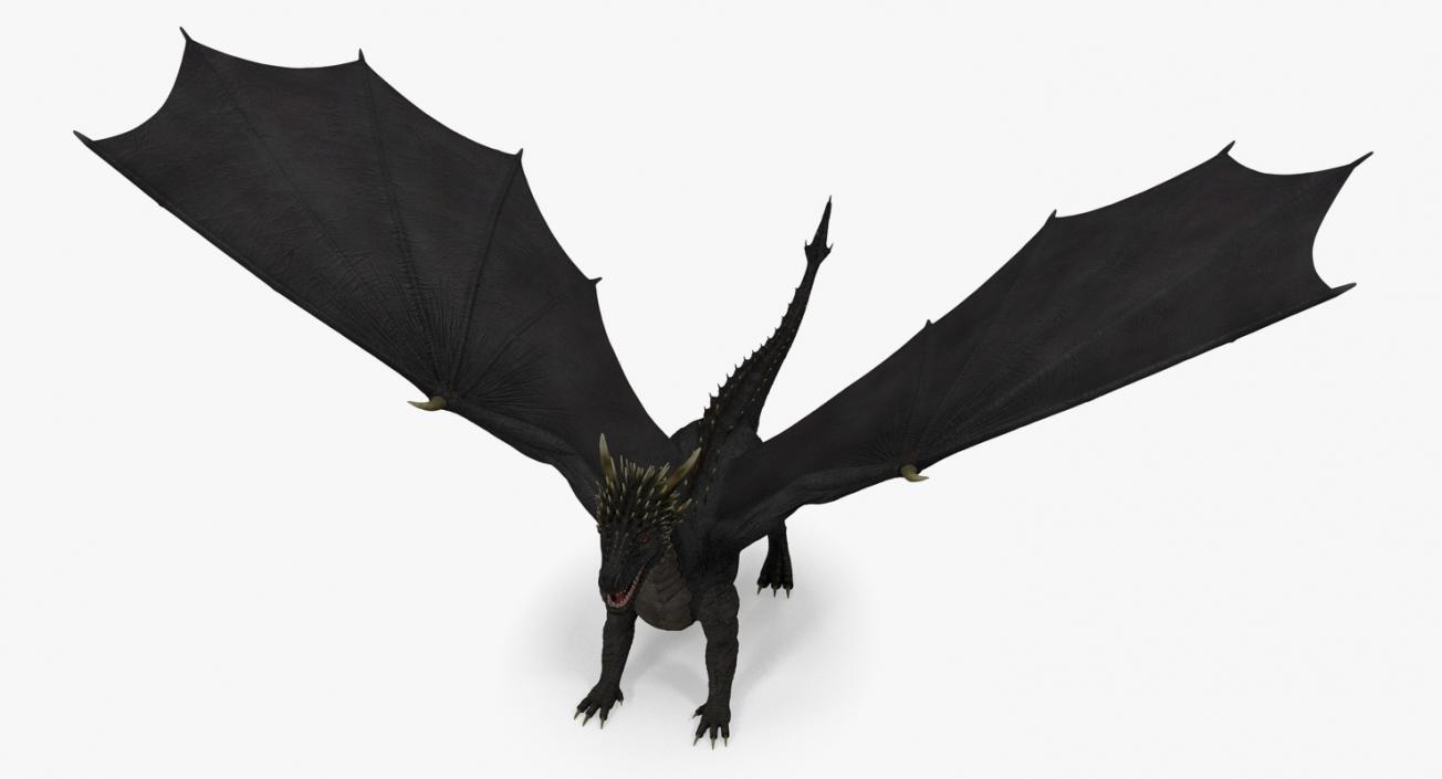 3D Black Mythical Dragon