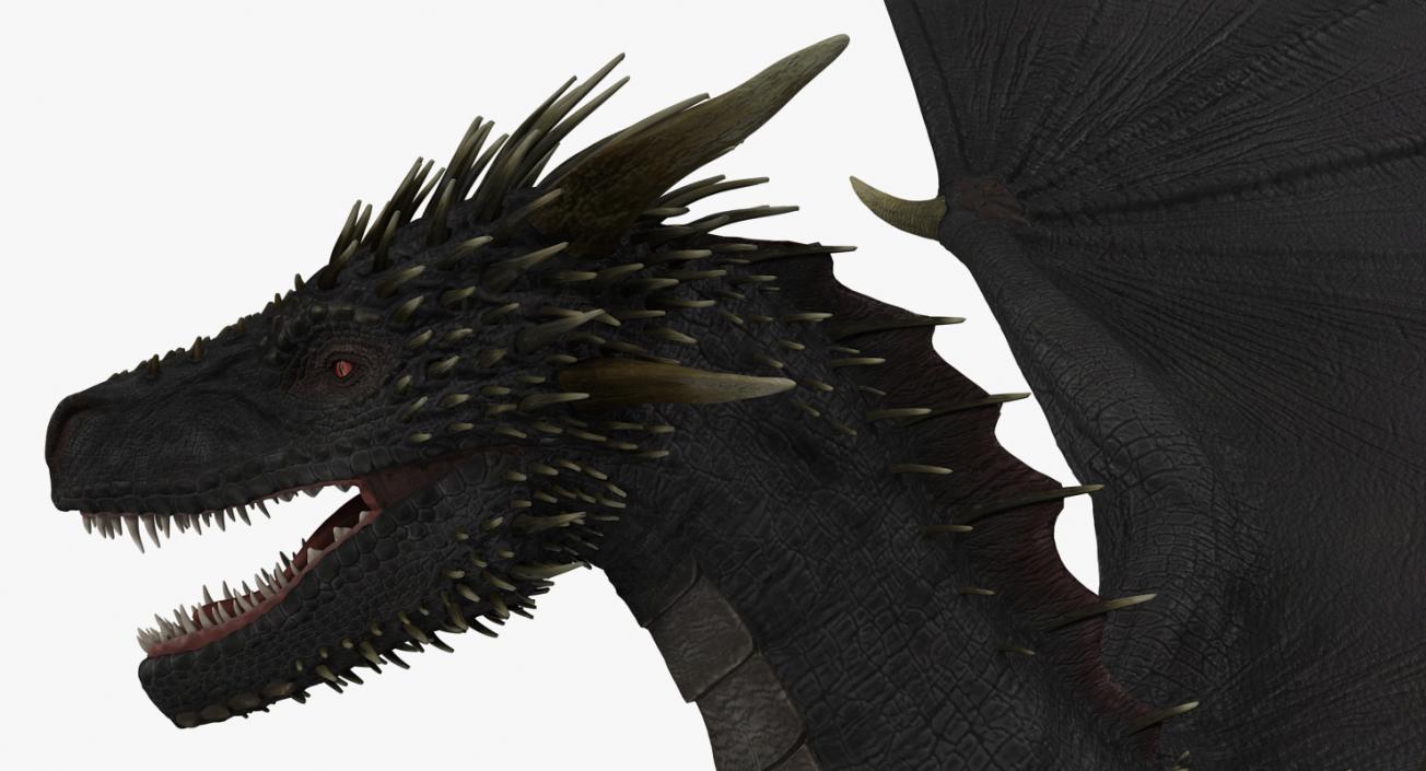 3D Black Mythical Dragon