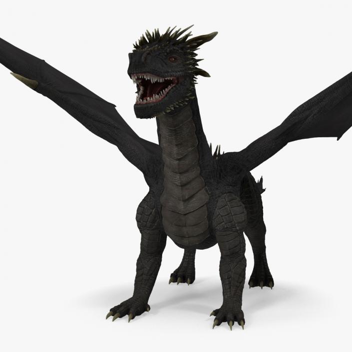 3D Black Mythical Dragon