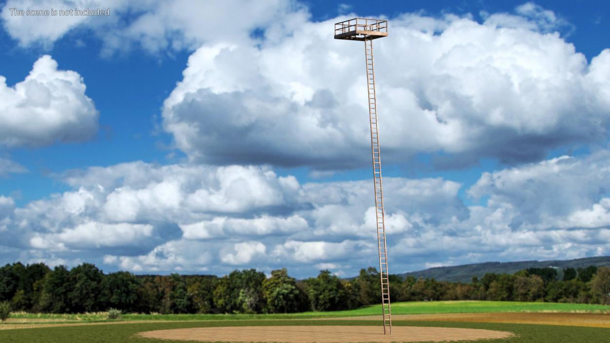 3D Old Platform with Ladder Wooden