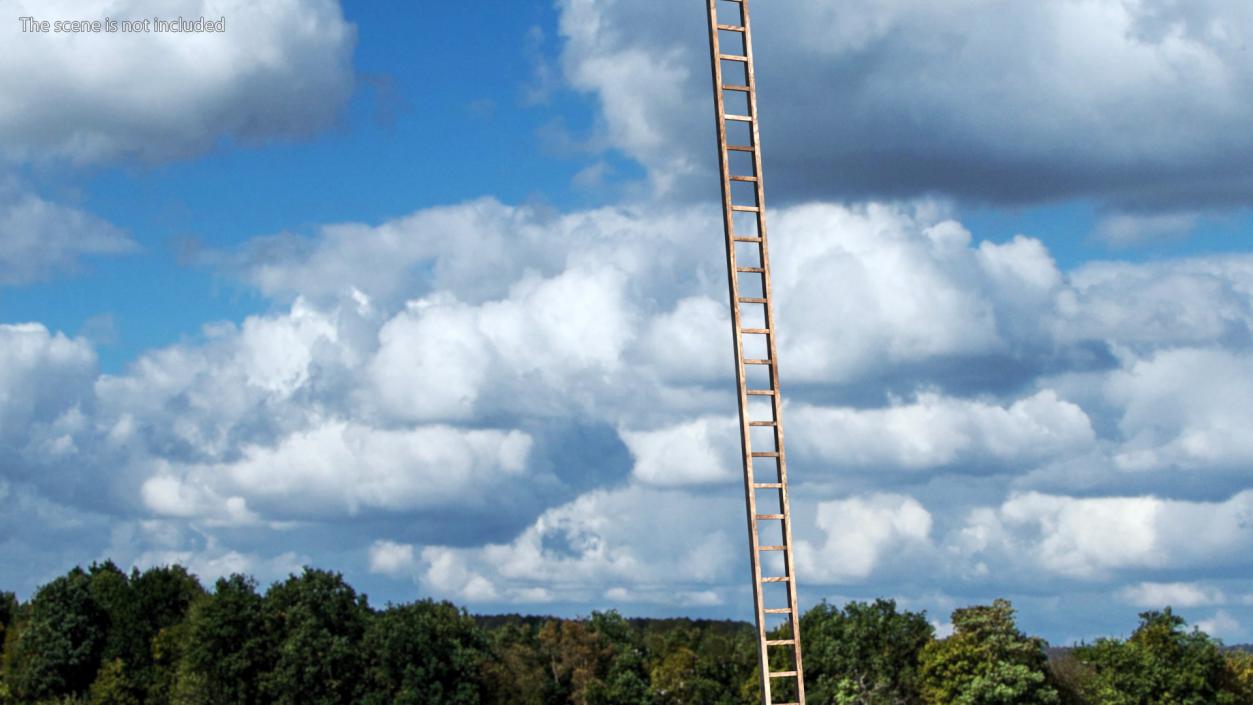 3D Old Platform with Ladder Wooden