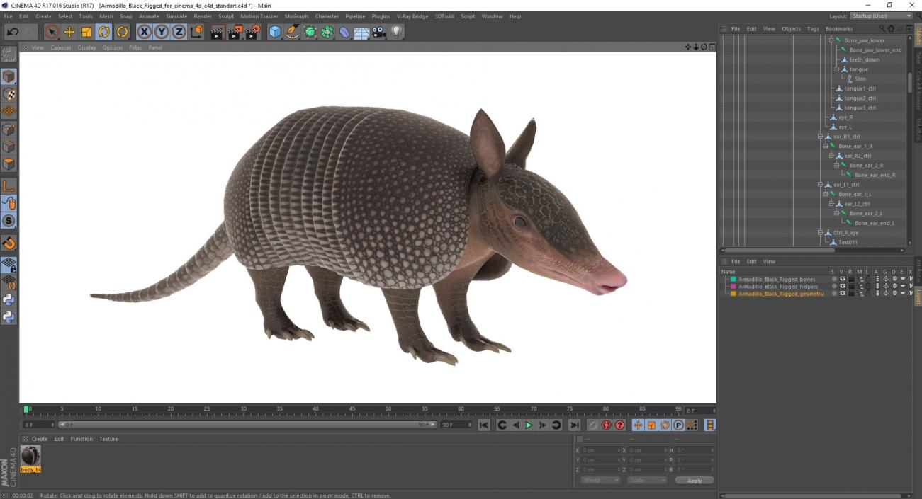 3D Armadillo Black Rigged for Cinema 4D