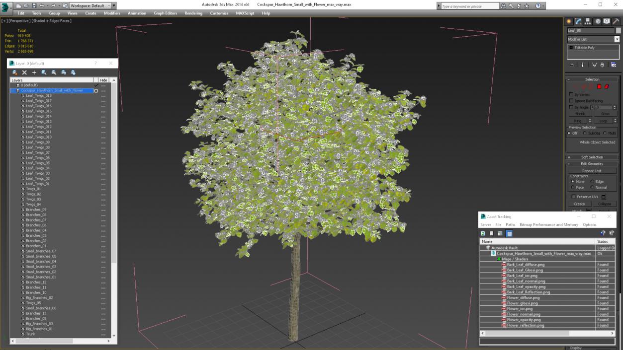 3D model Cockspur Hawthorn Small with Flower