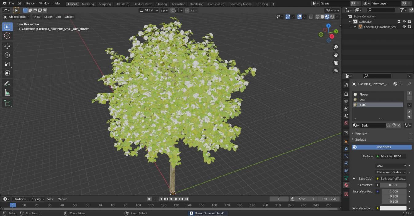 3D model Cockspur Hawthorn Small with Flower