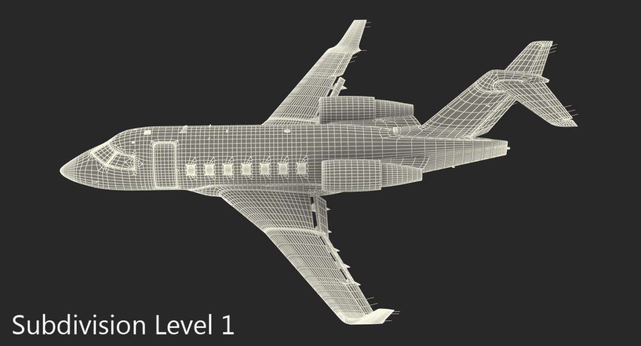 3D Bombardier Challenger 604 Business Jet Generic 2 model