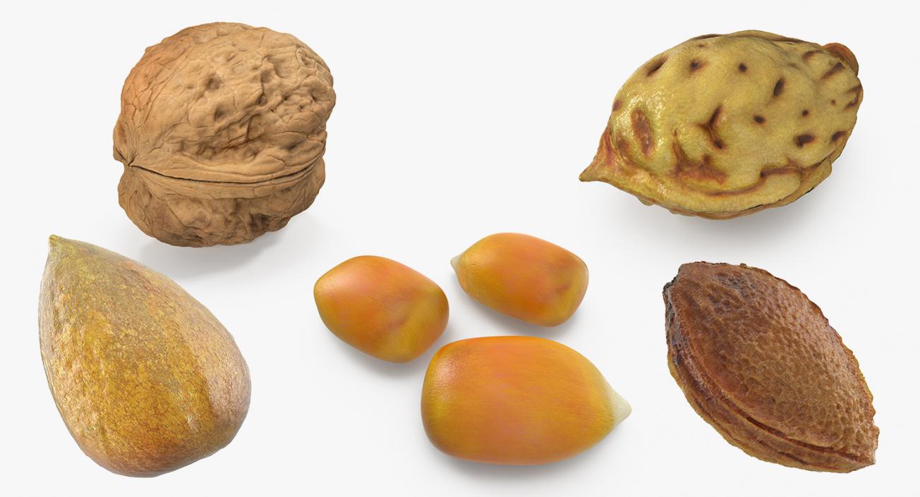 Fruit Seeds Collection 3D