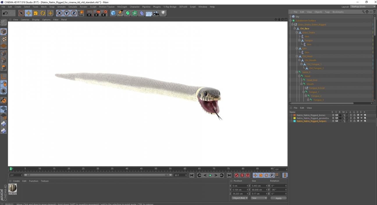 Natrix Natrix Rigged for Cinema 4D 3D model