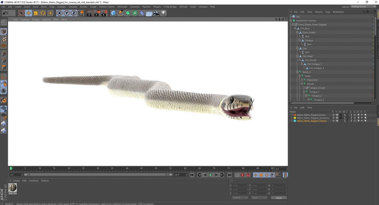 Natrix Natrix Rigged for Cinema 4D 3D model