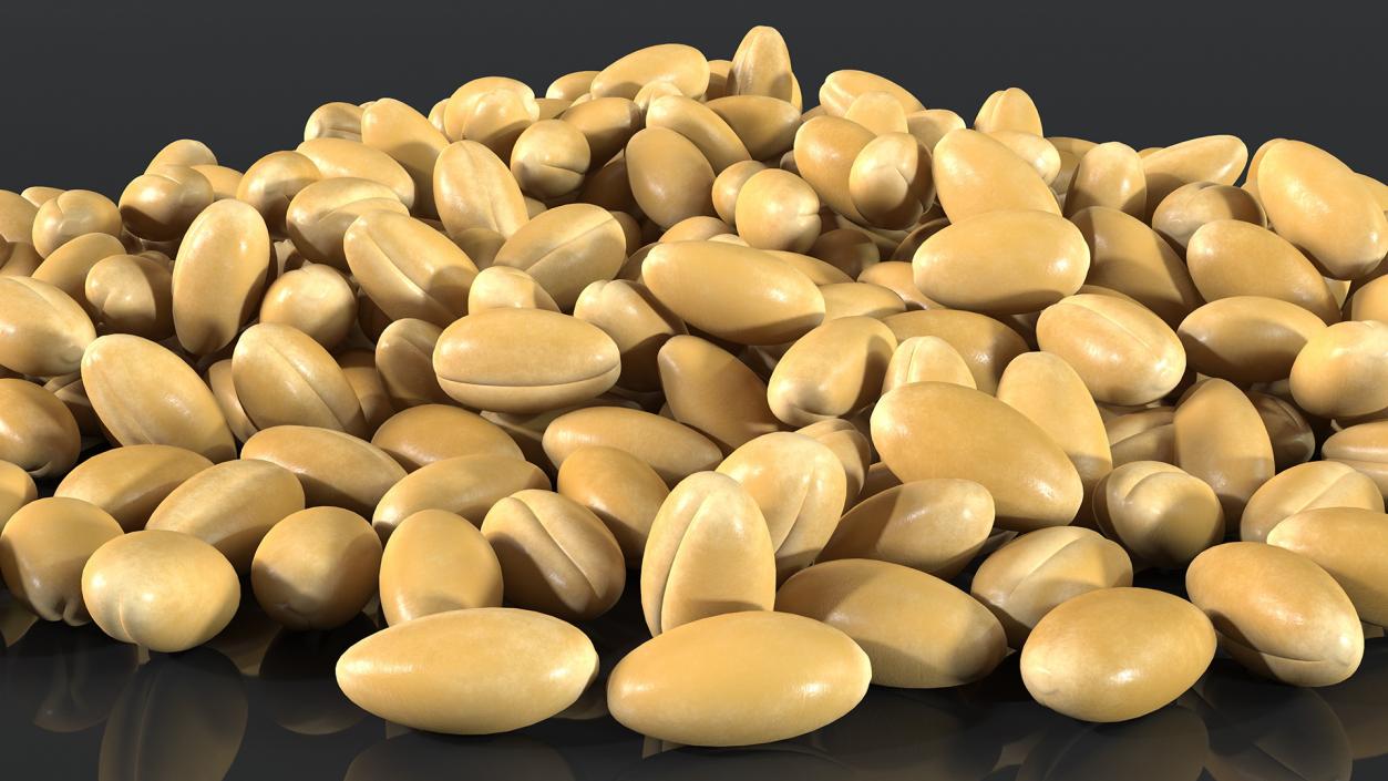 3D Wheat Collection 2 model