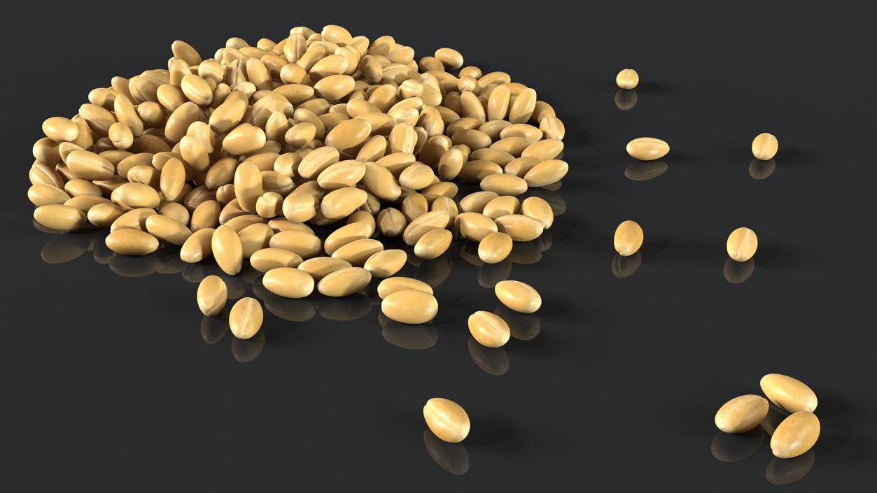 3D Wheat Collection 2 model