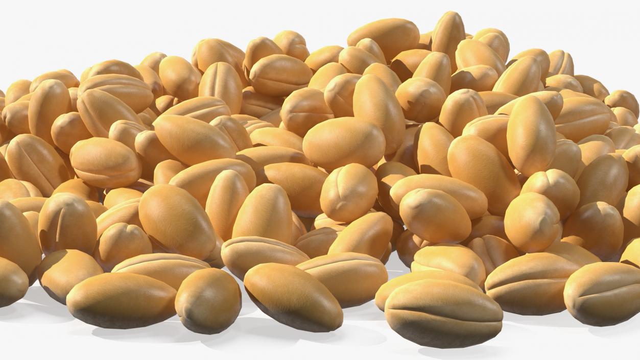 3D Wheat Collection 2 model