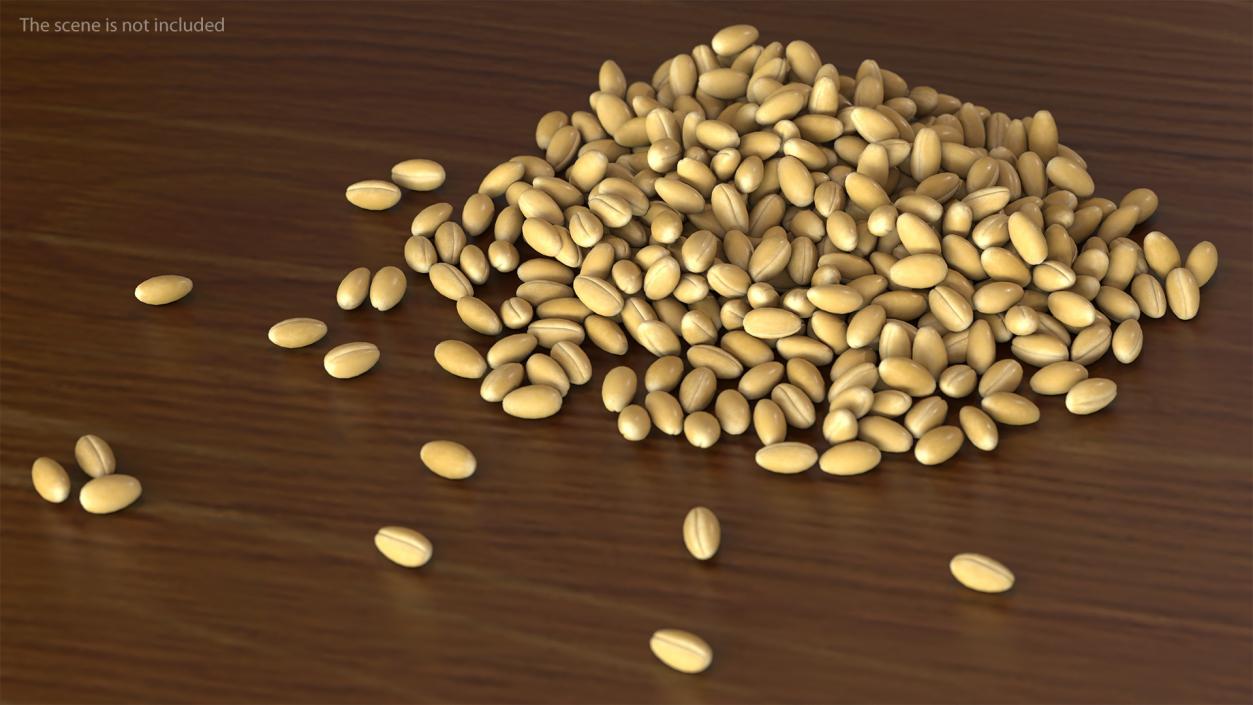 3D Wheat Collection 2 model