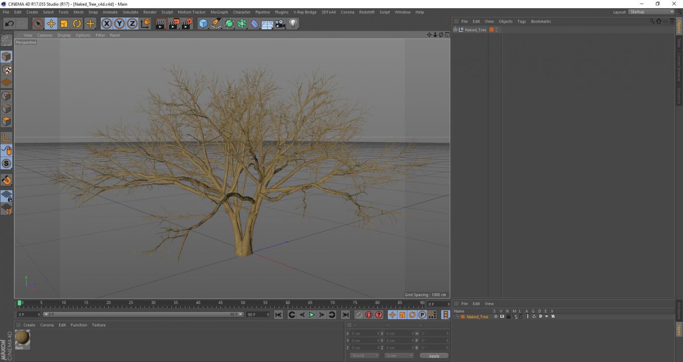 3D model Naked Tree