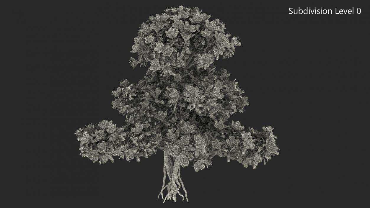 Bonsai Tree with Flowers 3D model