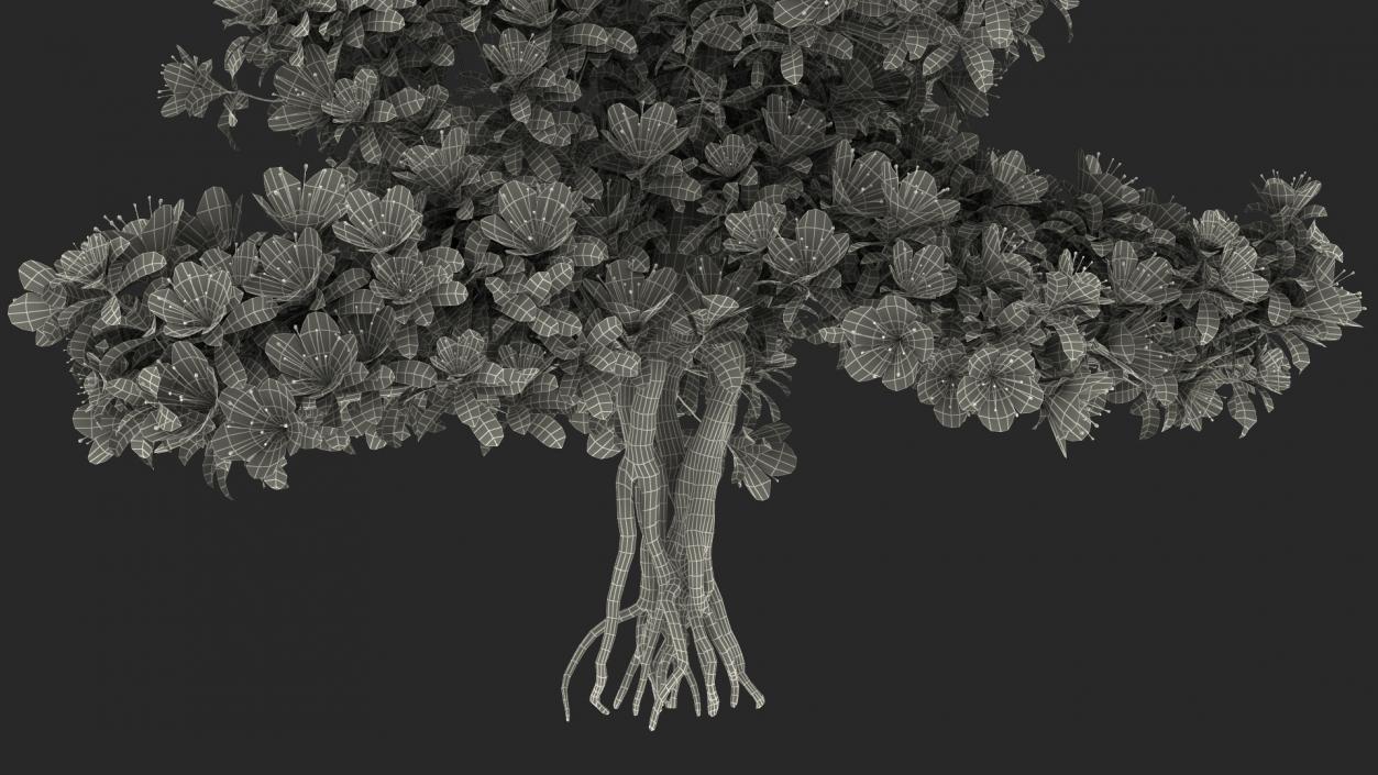 Bonsai Tree with Flowers 3D model