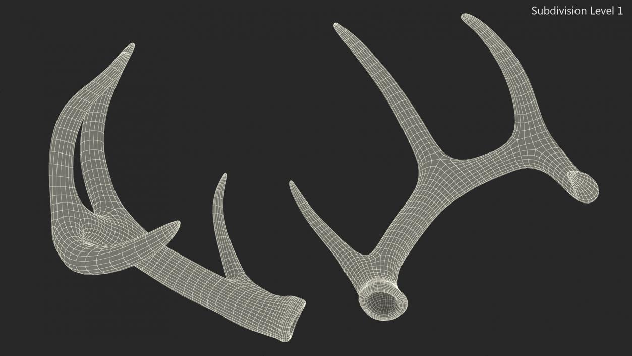 Antlers 3D model