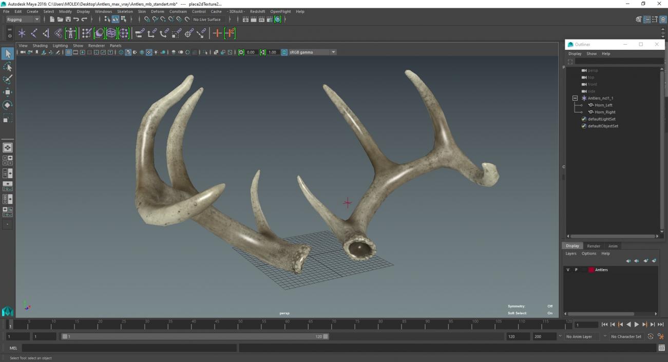 Antlers 3D model