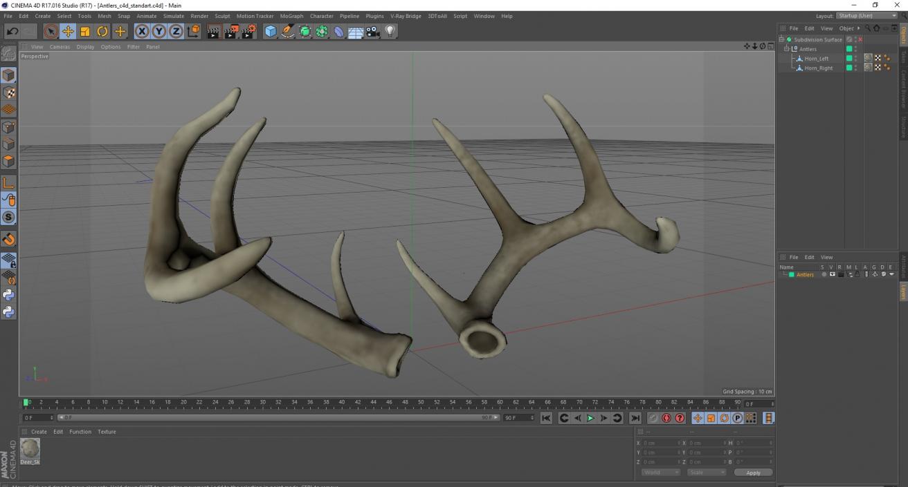 Antlers 3D model