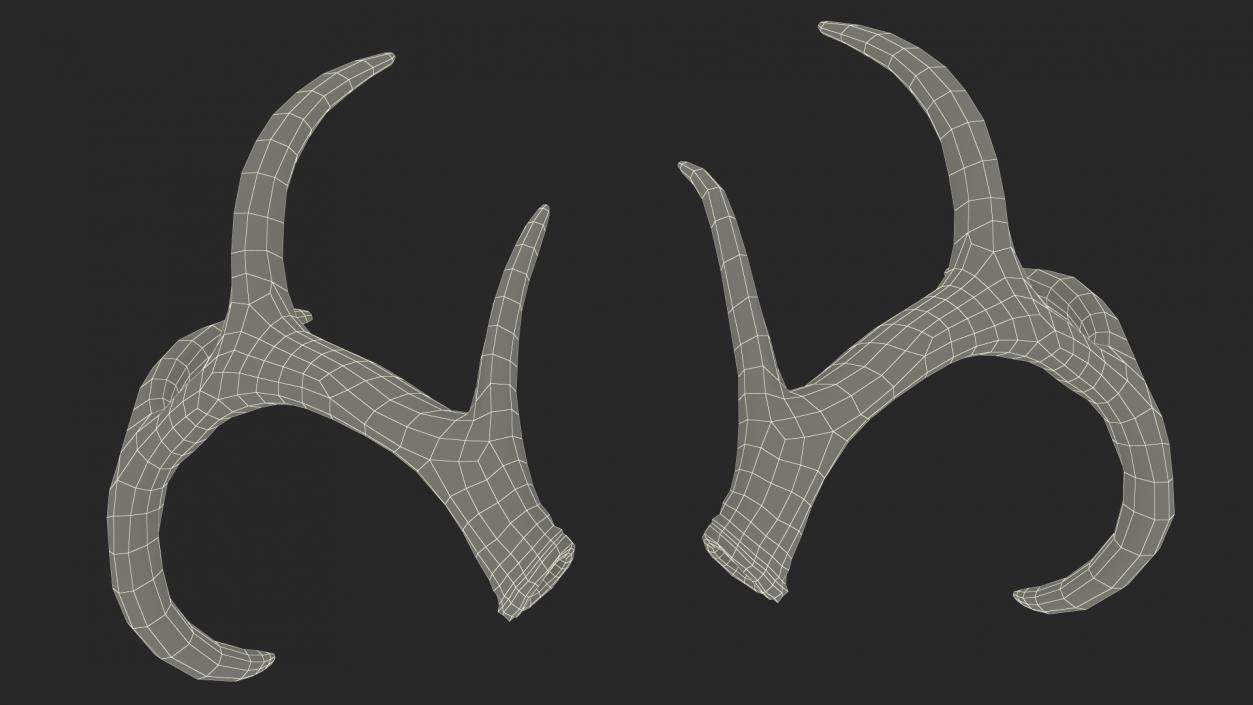 Antlers 3D model