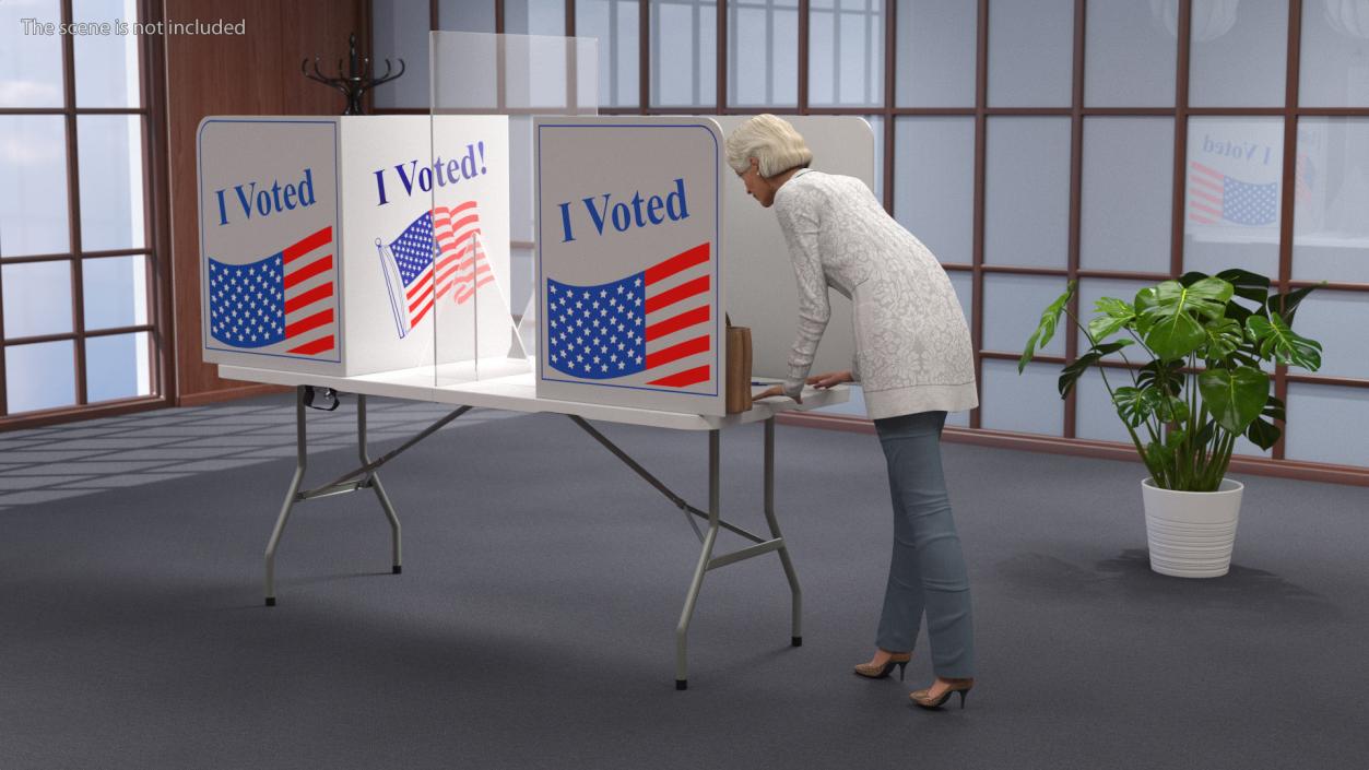 Elderly Lady with Voting Table Rigged 3D