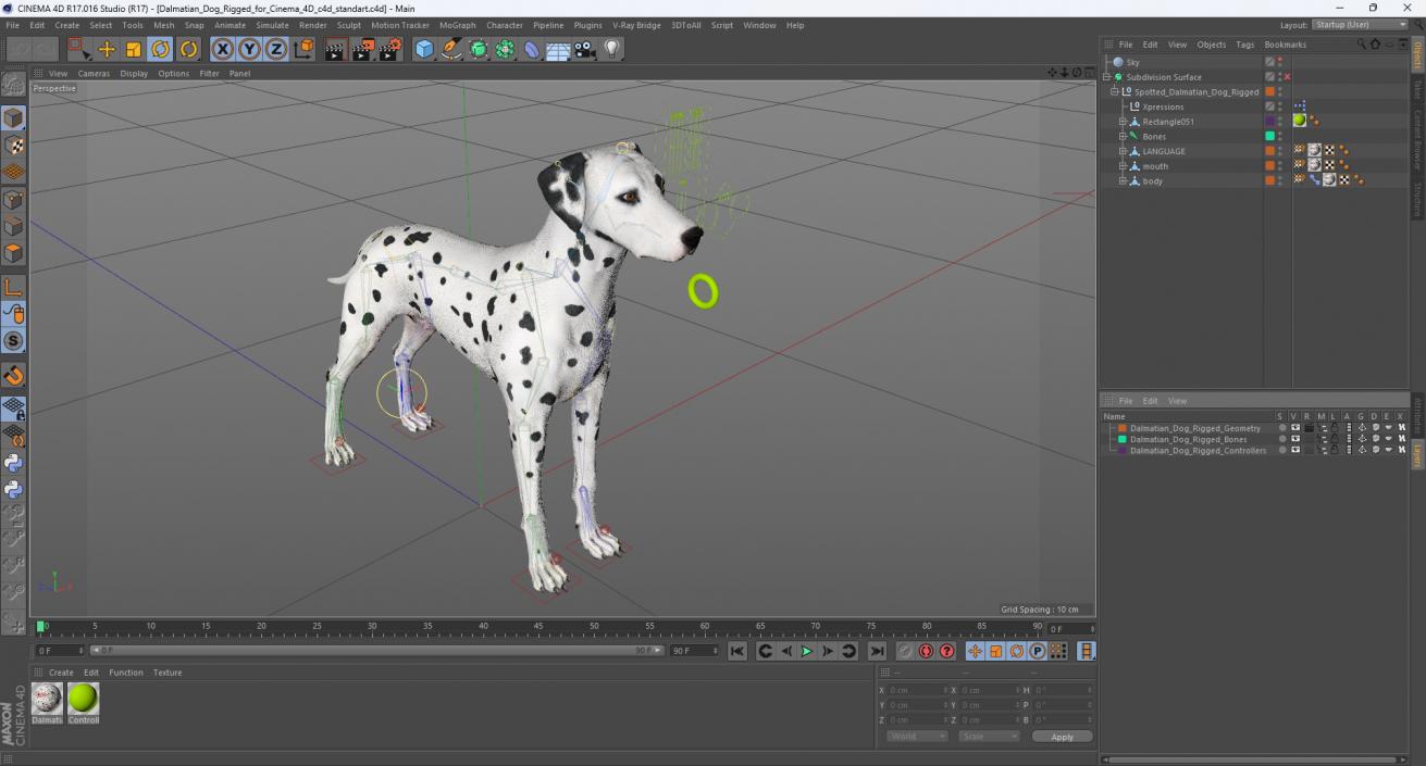 Dalmatian Dog Rigged for Cinema 4D 3D model