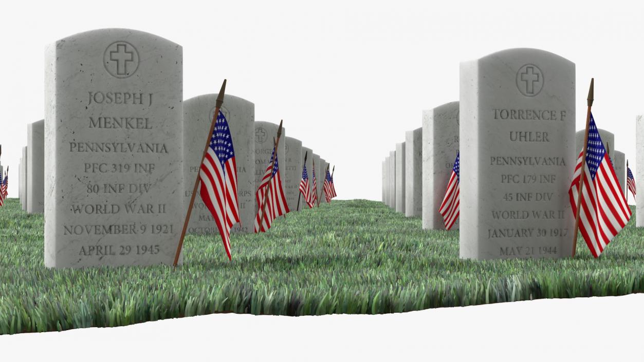 3D Graveyard World War Heroes 10x10 Fur