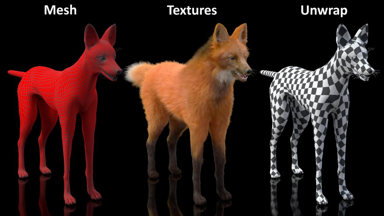 Maned Wolf Fur 3D model