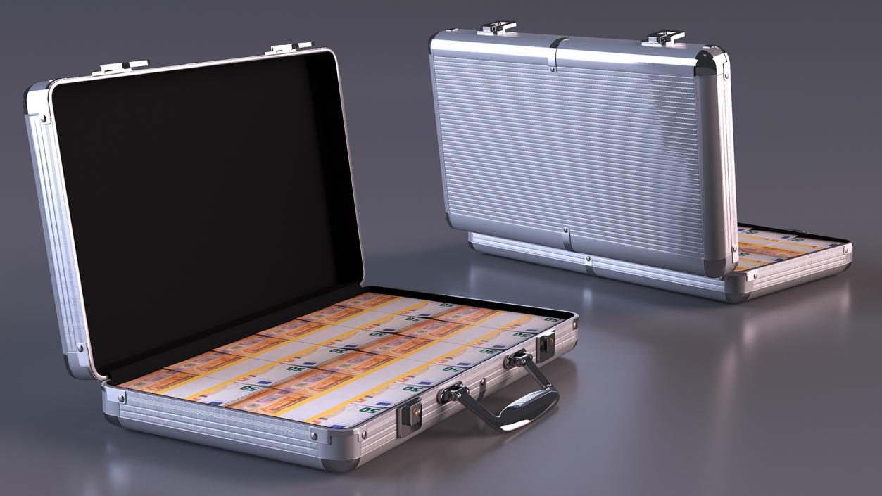 3D model Case Full of 50 Euro