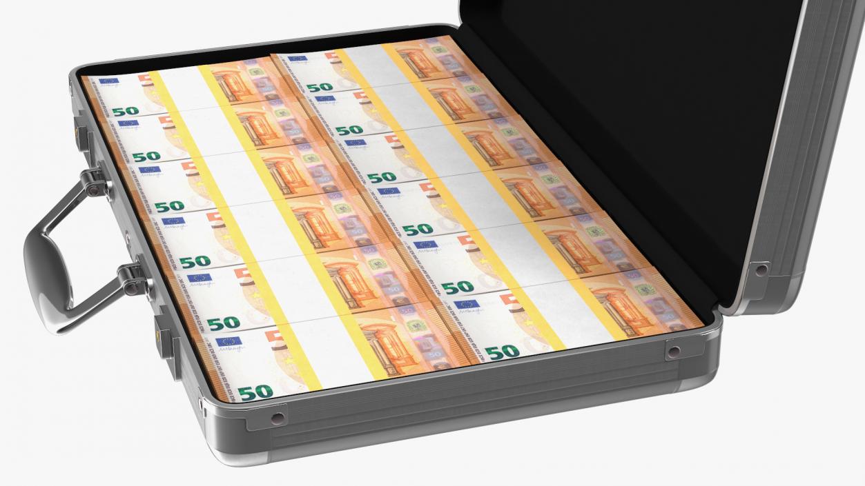 3D model Case Full of 50 Euro