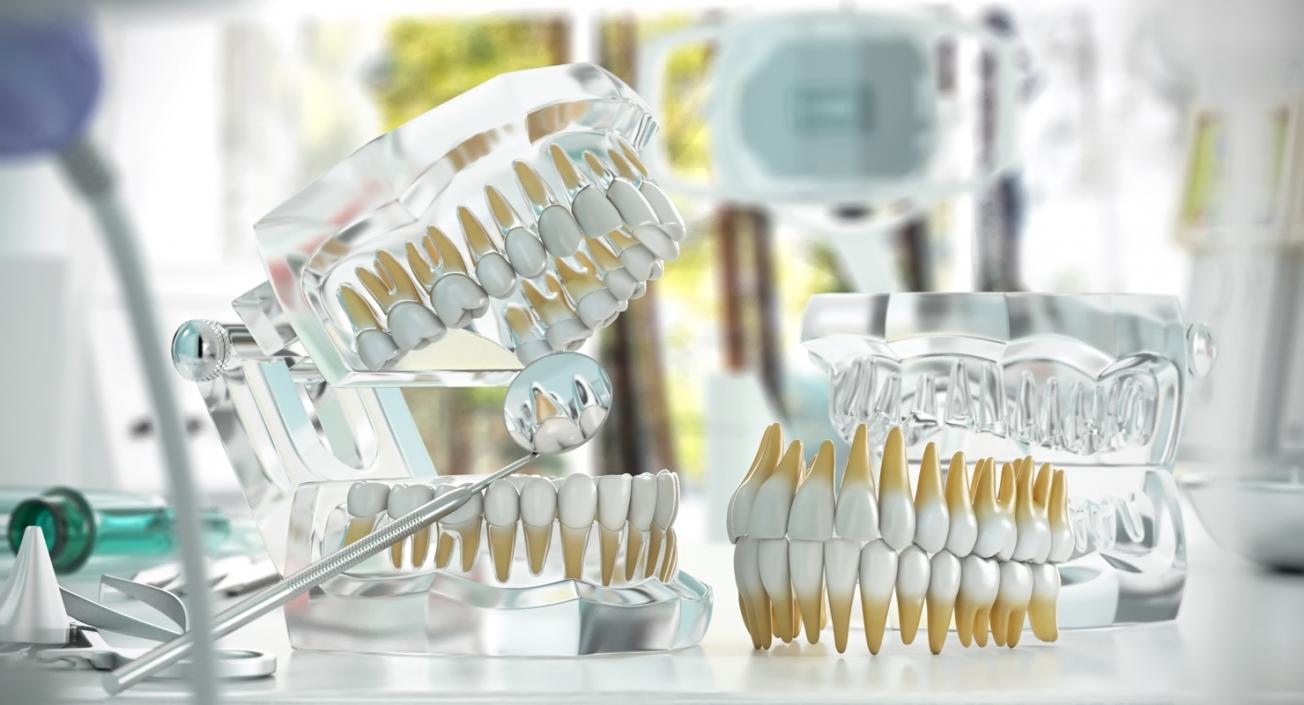 Teeths Medical 3D model