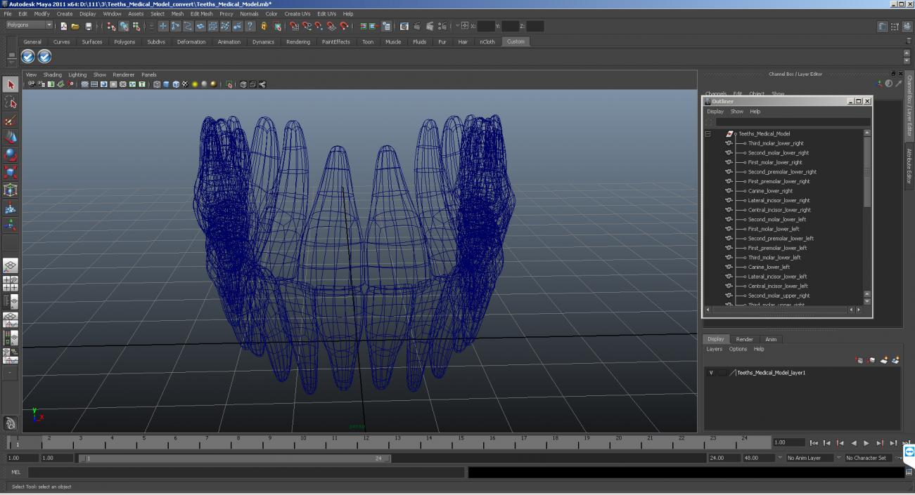 Teeths Medical 3D model