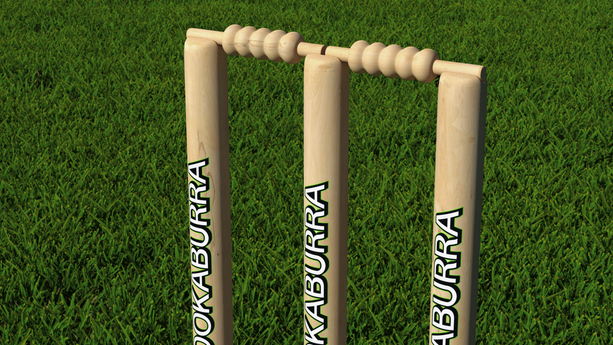 Kookaburra Cricket Stumps Set 3D model