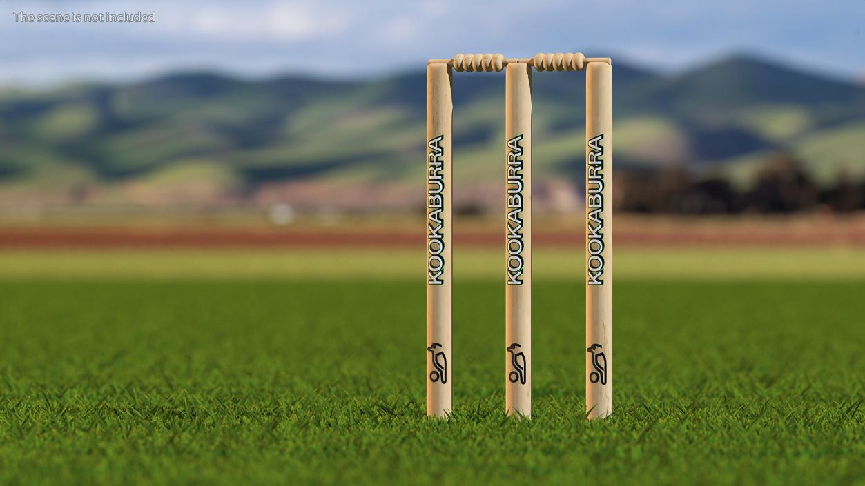 Kookaburra Cricket Stumps Set 3D model