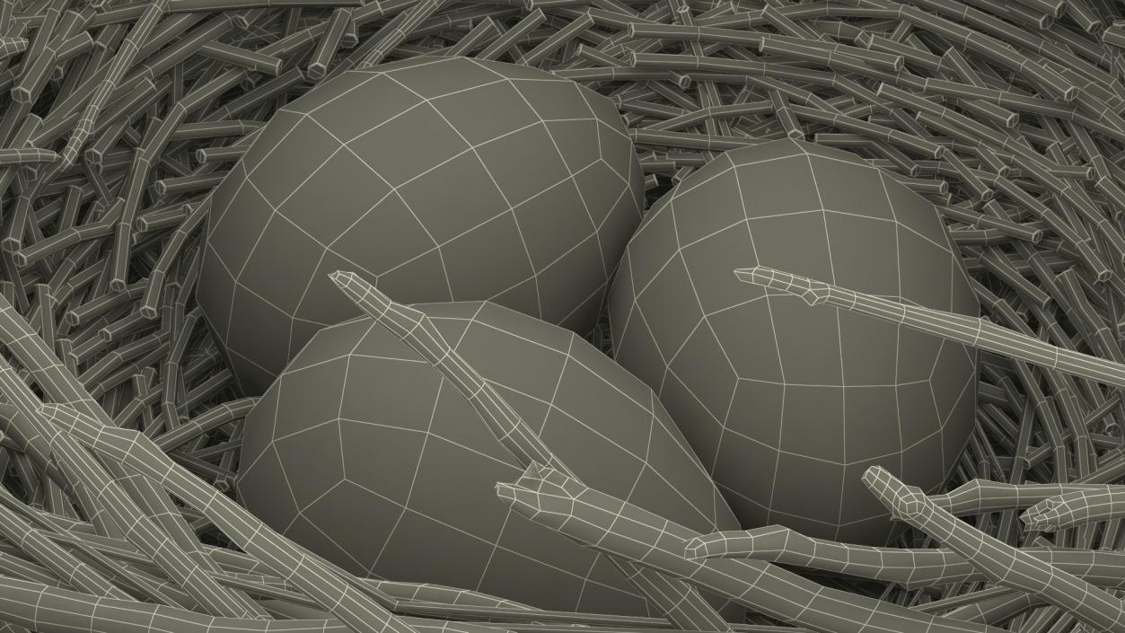 Bird Nest with Eggs 3D model