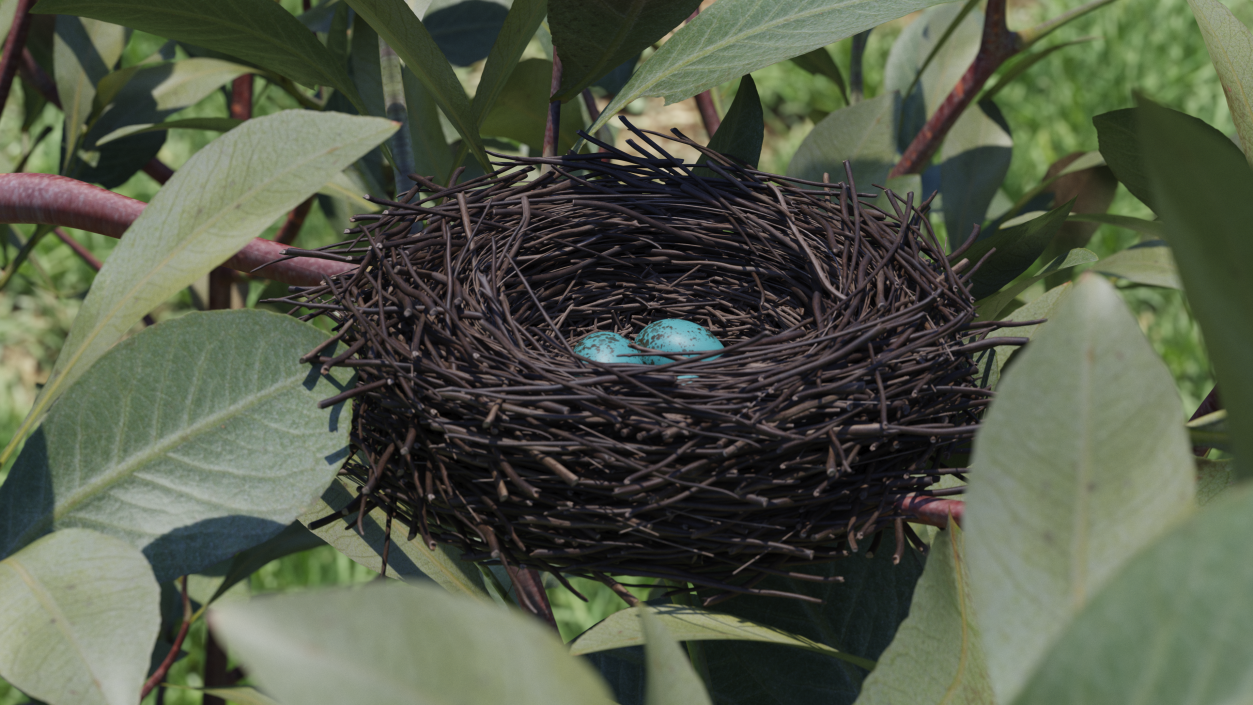 Bird Nest with Eggs 3D model