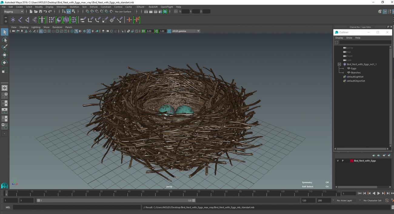 Bird Nest with Eggs 3D model