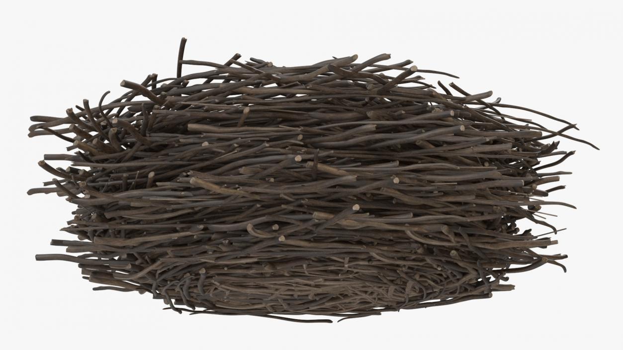 Bird Nest with Eggs 3D model