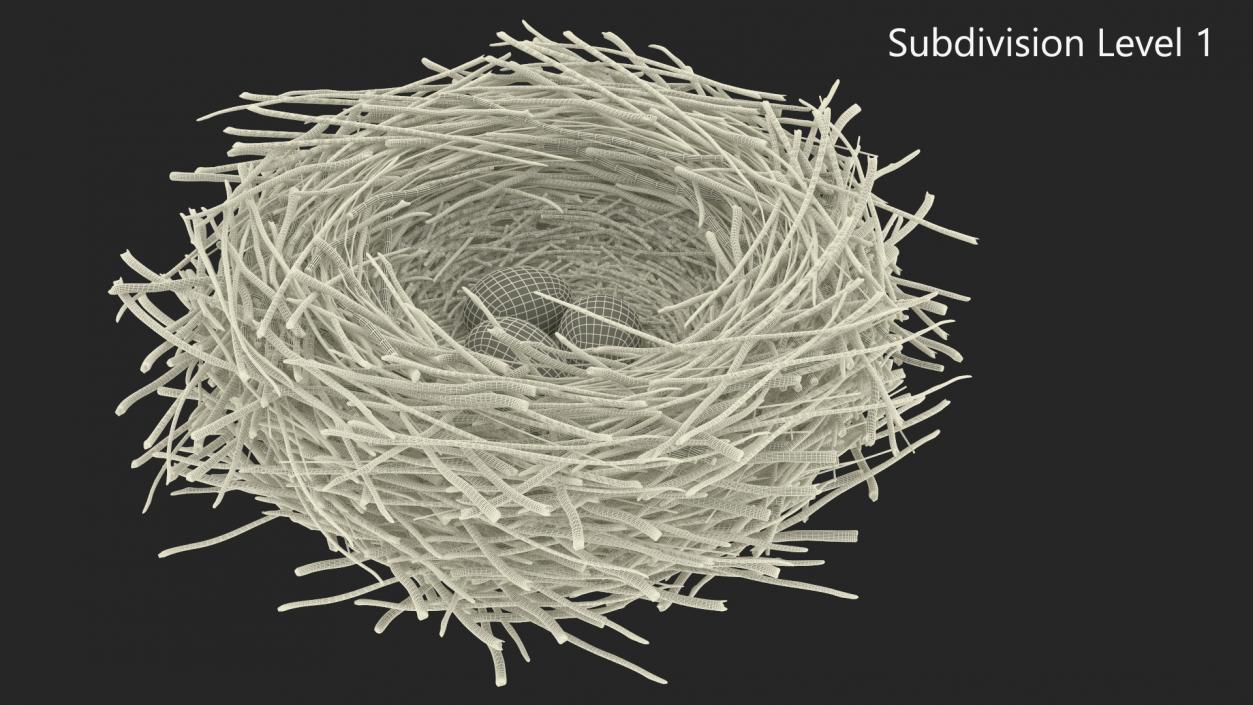 Bird Nest with Eggs 3D model