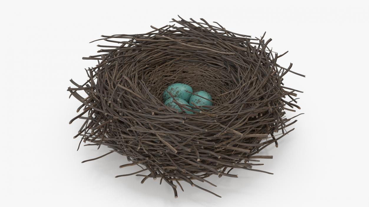 Bird Nest with Eggs 3D model