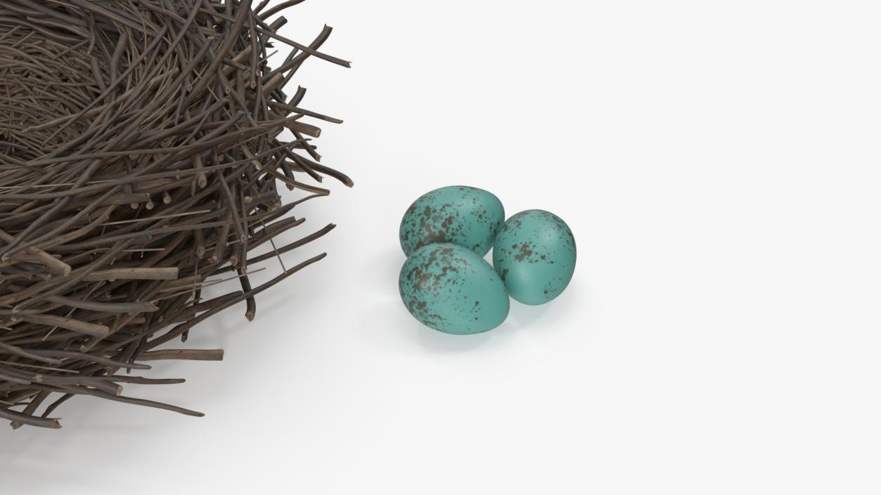 Bird Nest with Eggs 3D model