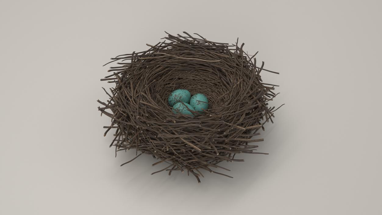 Bird Nest with Eggs 3D model