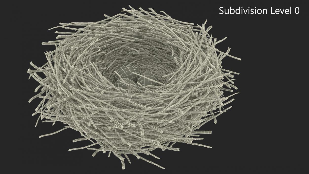 Bird Nest with Eggs 3D model