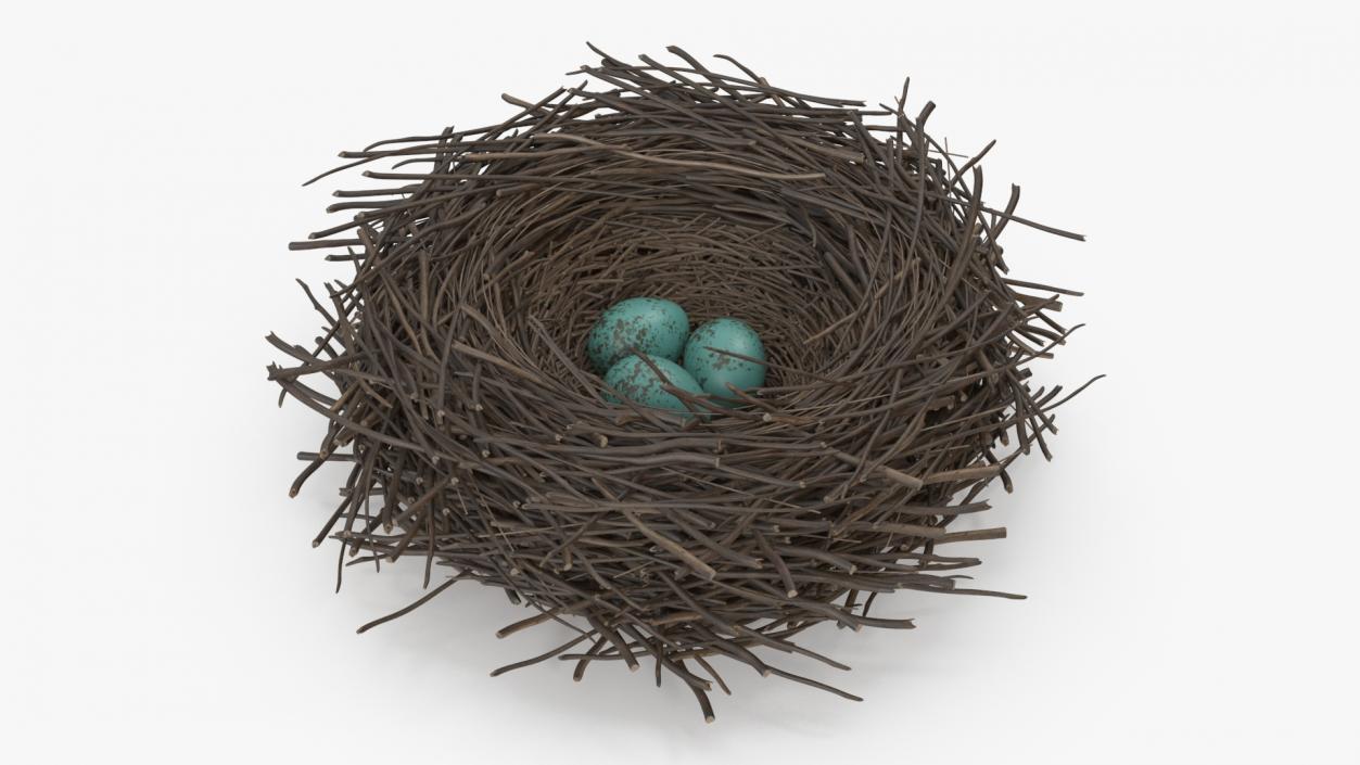 Bird Nest with Eggs 3D model