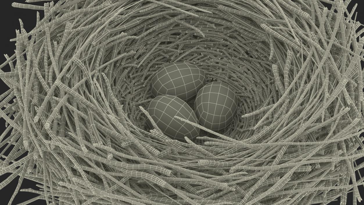 Bird Nest with Eggs 3D model