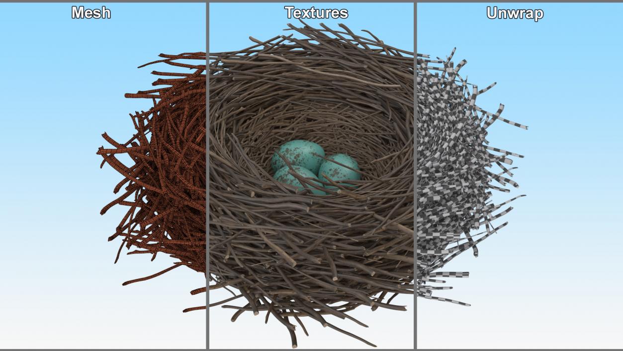 Bird Nest with Eggs 3D model