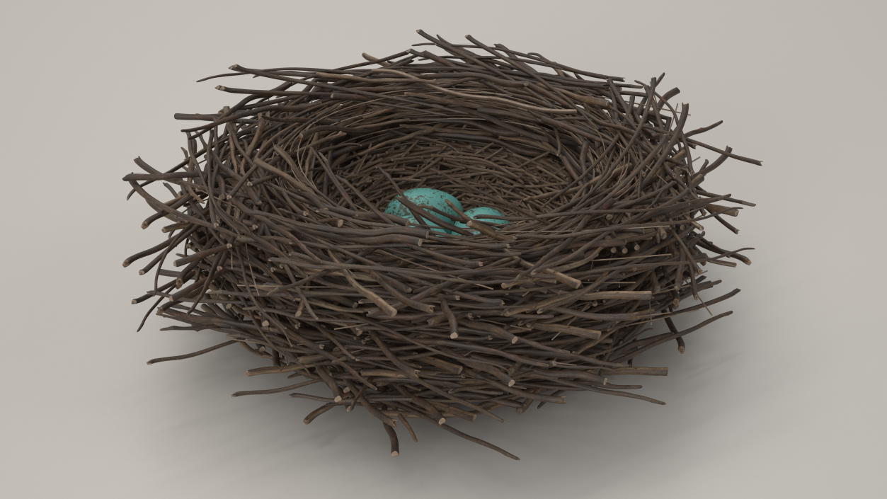 Bird Nest with Eggs 3D model