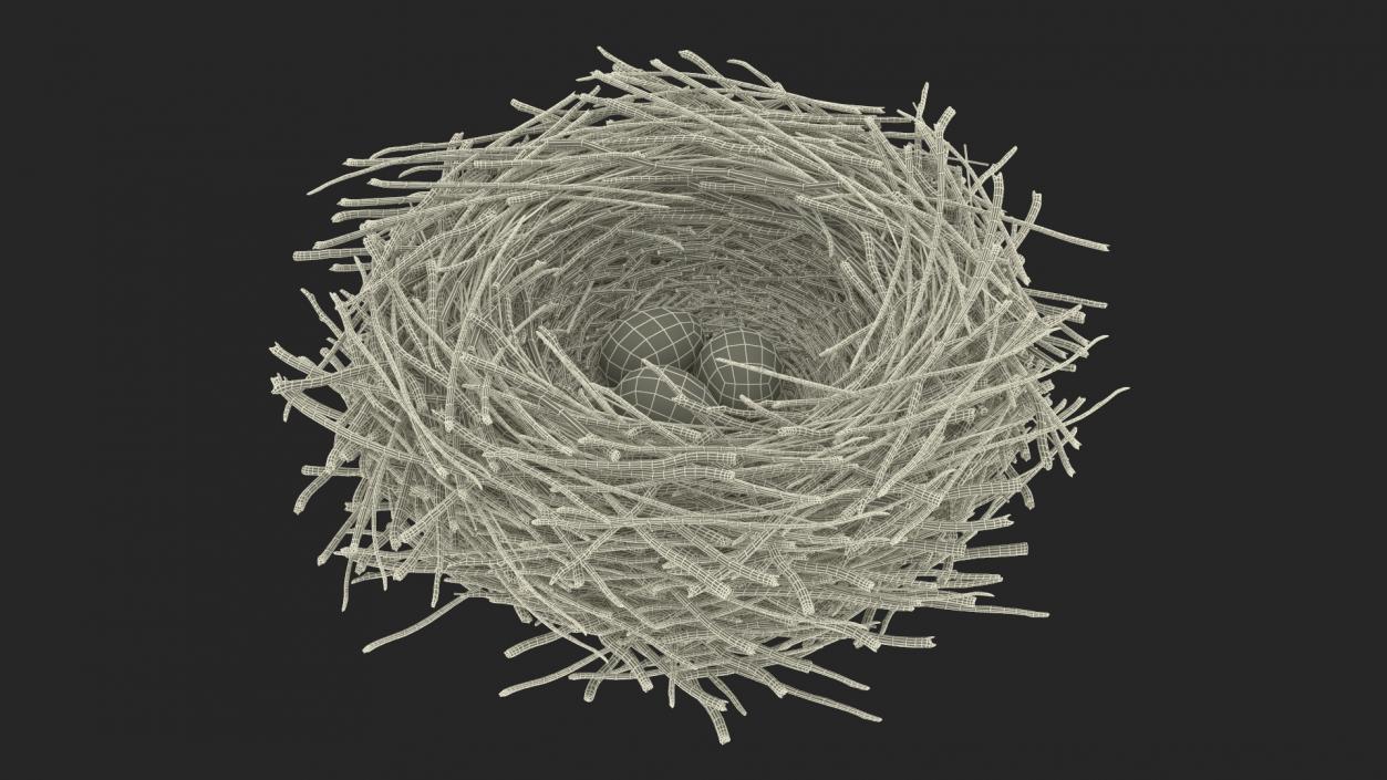 Bird Nest with Eggs 3D model