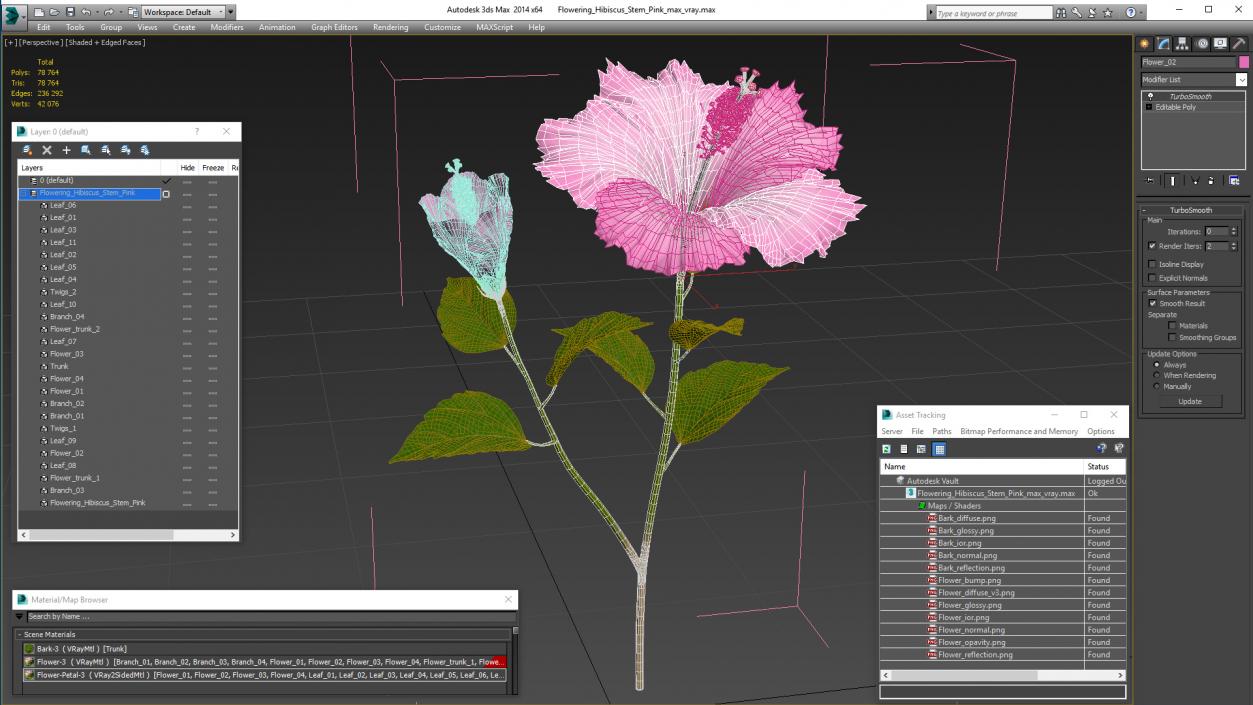 3D Flowering Hibiscus Stem Pink model