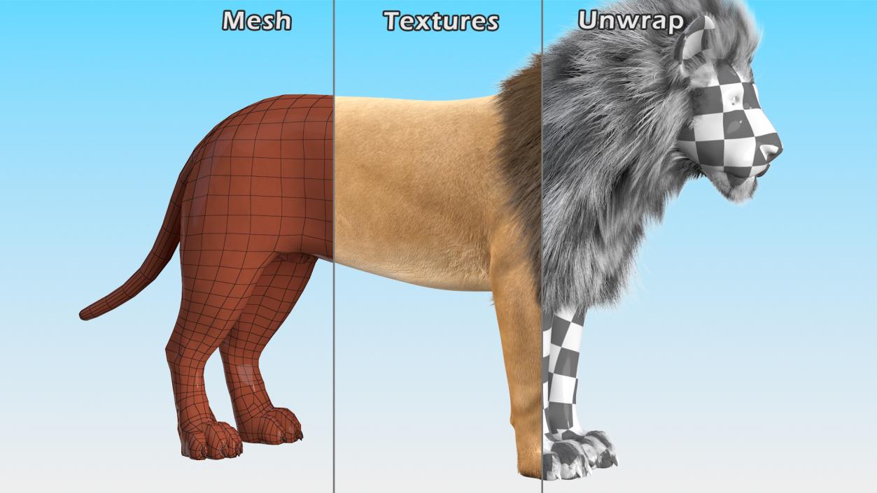 3D Male Lion Fur model