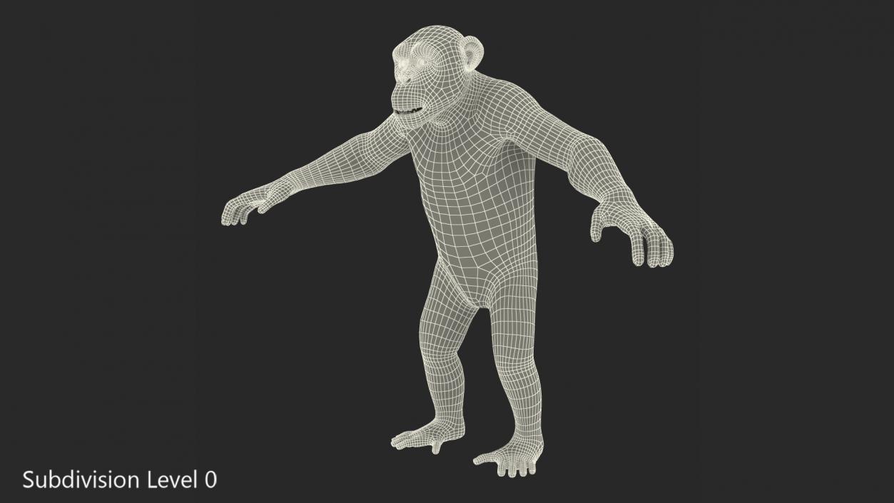 3D model Dark Chimpanzee